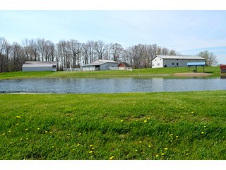 Property photo 16 - REAL ESTATE & PERSONAL PROPERTY AUCTION - 23.5+/- ACRES OFFERED IN 3 TRACTS OR COMBINATIONS IN EAST ALLEN COUNTY